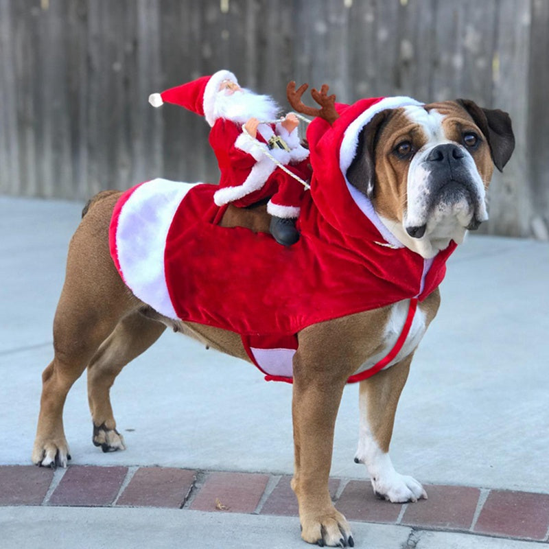 Vánoční obleček pro psy