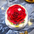 Růžový květ ve skleněné kopuli