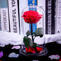 Růže ve skle