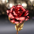 Dekorativní růže