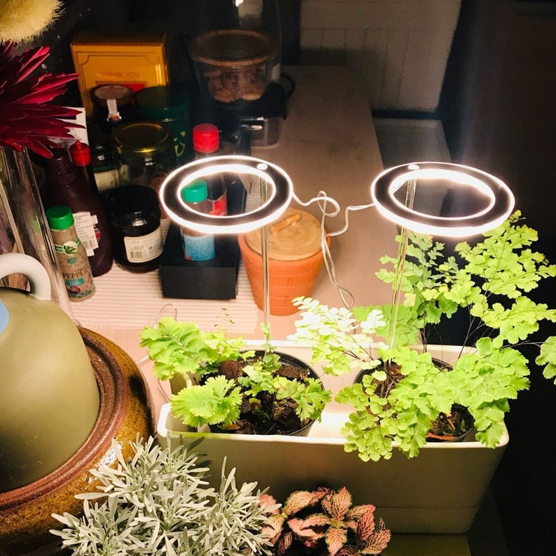LED světlo pro pokojové rostliny